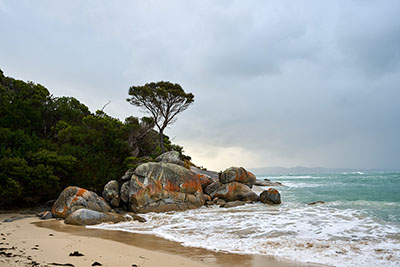 Flinders Island